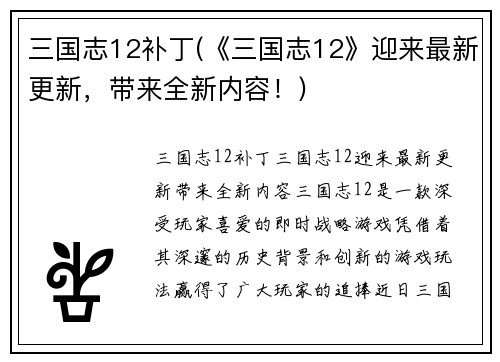 三国志12补丁(《三国志12》迎来最新更新，带来全新内容！)